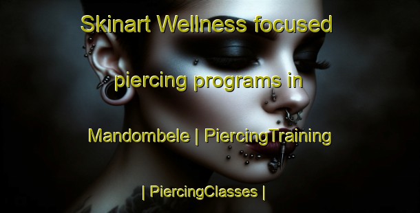 Skinart Wellness-focused piercing programs in Mandombele | PiercingTraining | PiercingClasses | SkinartTraining-the Democratic Republic of the Congo